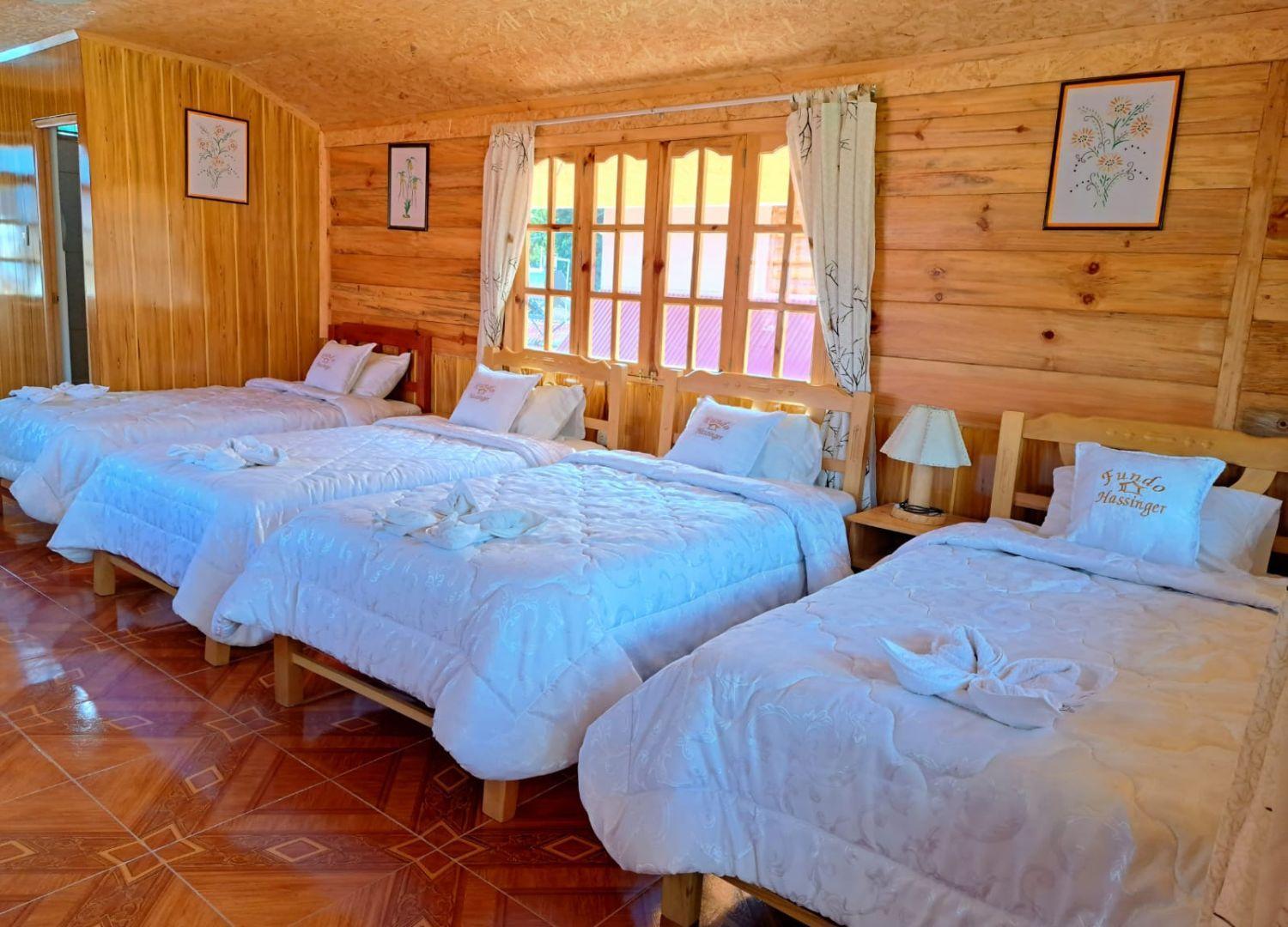 Alojamento de Turismo Selvagem Fundo Hassinger *