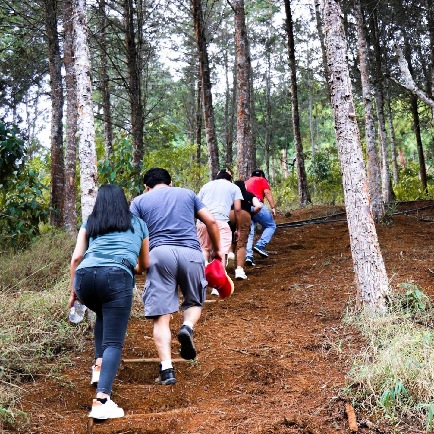 Alojamento de Turismo Selvagem Fundo Hassinger